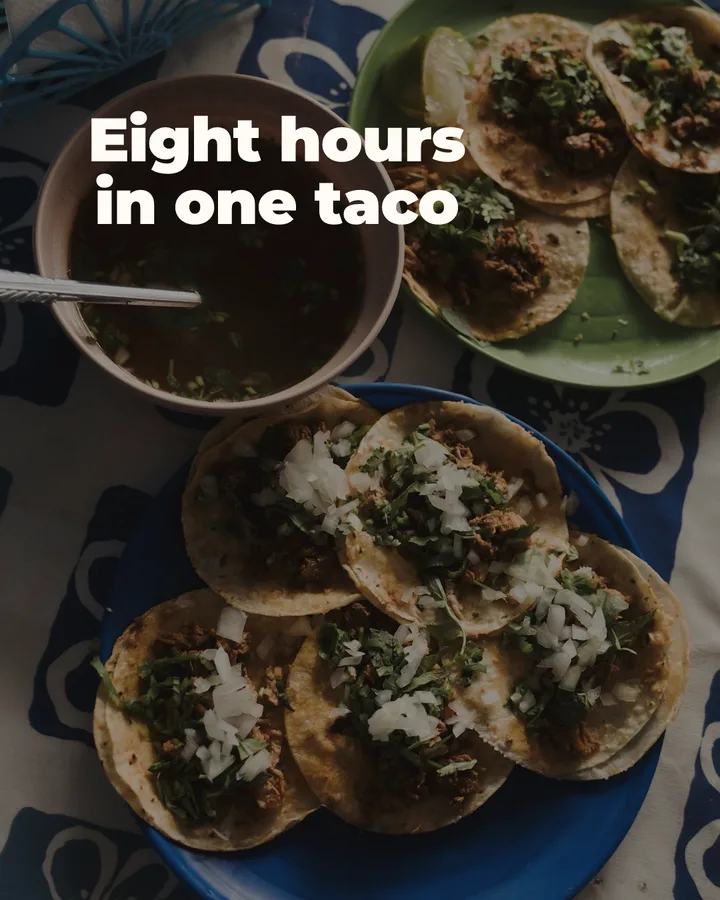 Eight hours in one taco